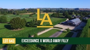 World Away - Exceedance