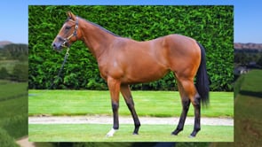 Push the Boat Out - Time Test