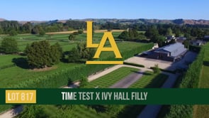 Ivy Hall - Time Test