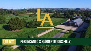 Surreptitious - Per Incanto