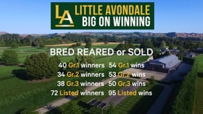 Sharvasti - Per Incanto