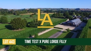 Pure Lorde - Time Test