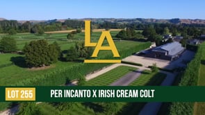 Irish Cream - Per Incanto