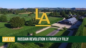 Farrelly - Russian Revolution