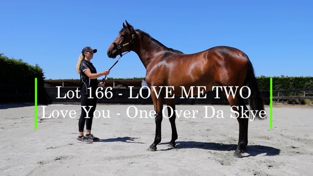Lot 166