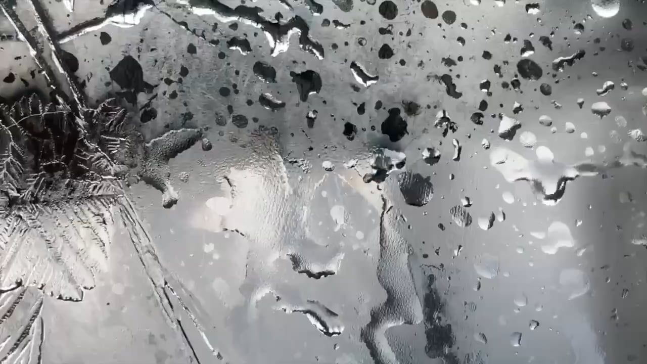 https://i.vimeocdn.com/video/1593473238-5f0ac61e7f051b63b442b979975959379e64593e6324a7aabdb2eb4b77ee4287-d