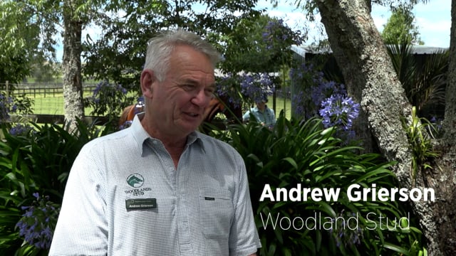 2023 STB Yearling Sale - Woodland Stud Interview
