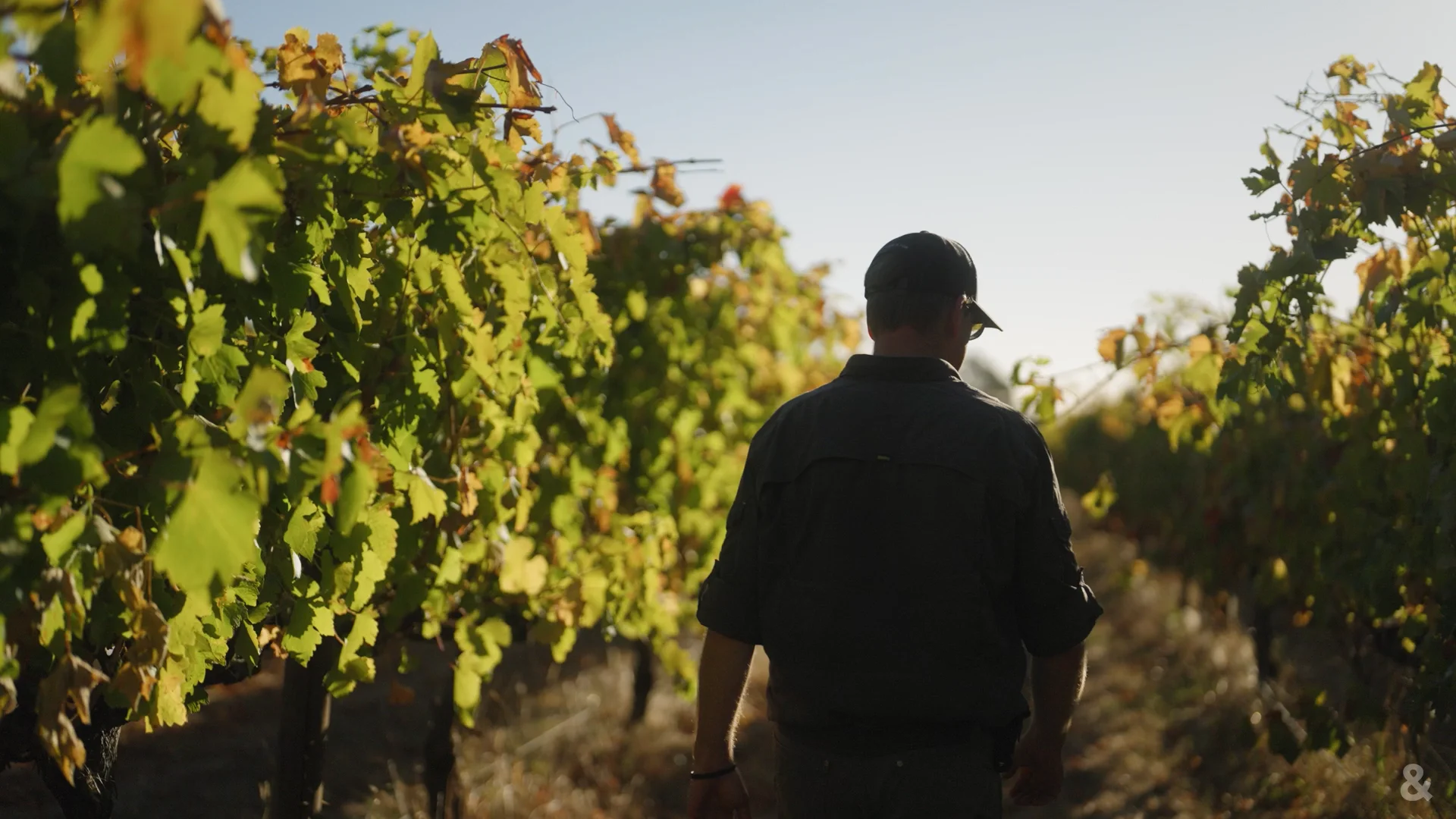 What Does Our Ethos Mean For Our Wines On Vimeo