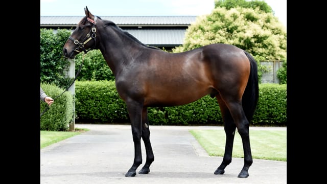 Lot 417