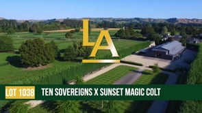 Sunset Magic - Ten Sovereigns