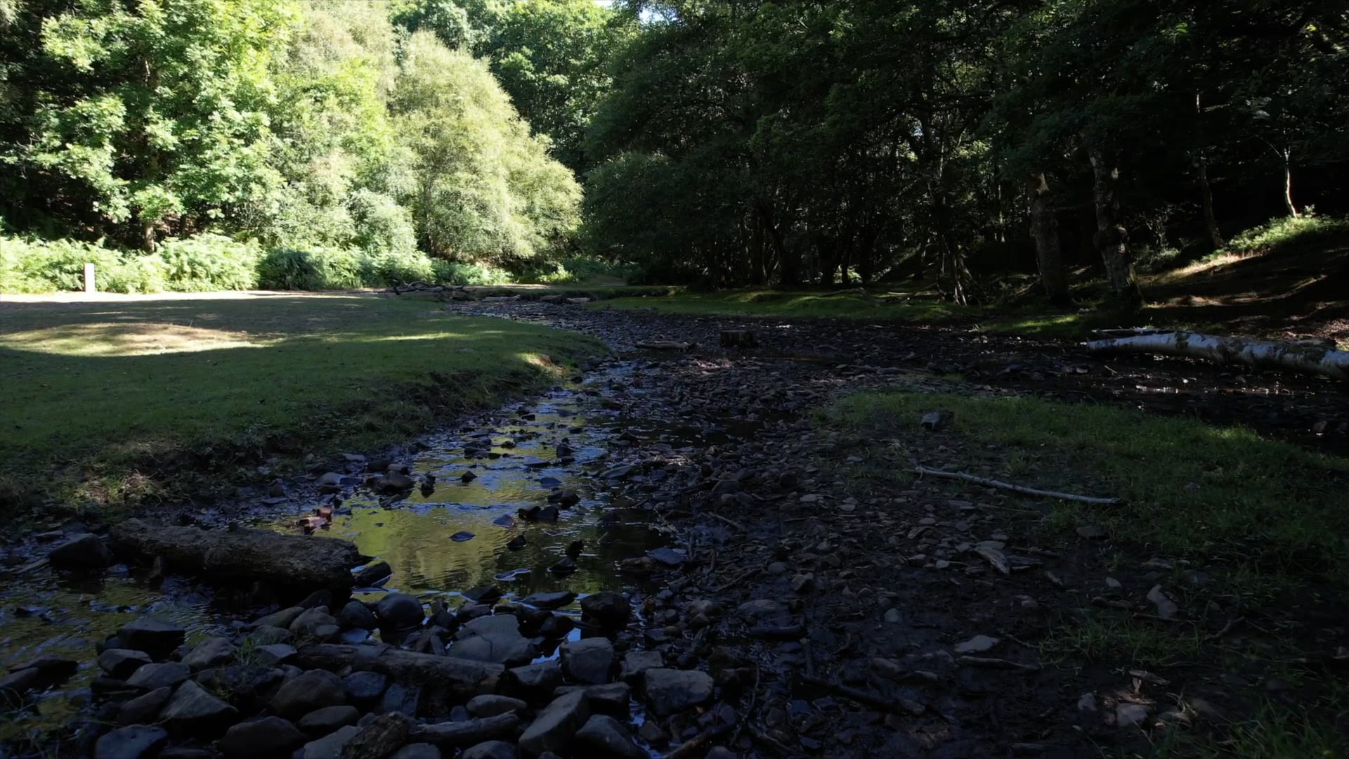 Coleridge Unbound (Nature Film) - Miss Pam