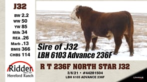 Lot #J32 - R T 236F NORTH STAR J32