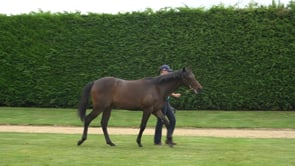 Scintillating - Per Incanto