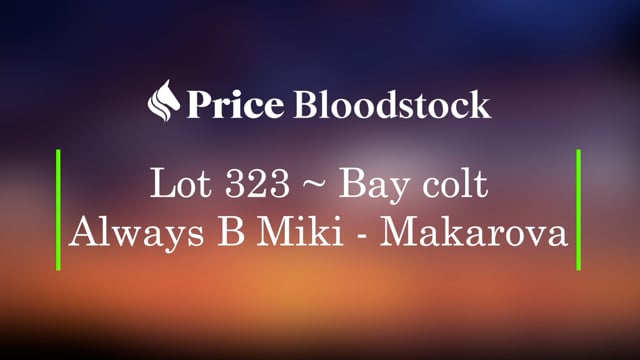 Lot 323