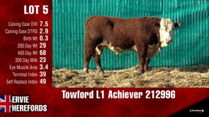 Lot #5 - Towford L1 Achiever 212996