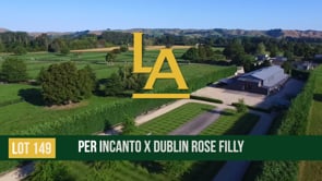 Dublin Rose - Per Incanto