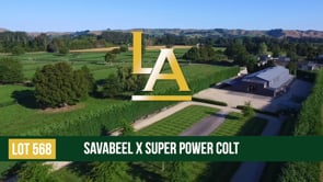 Super Power - Savabeel