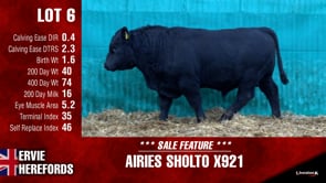 Lot #6 - AIRIES SHOLTO X921
