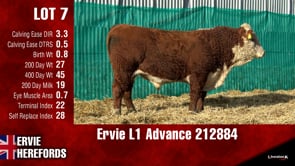 Lot #7 - Ervie L1 Advance 212884