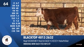 Lot #64 - BLACKTOP 4013 2632