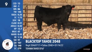 Lot #9 - BLACKTOP TAHOE 2048