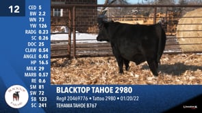 Lot #12 - BLACKTOP TAHOE 2980