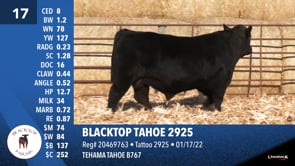 Lot #17 - BLACKTOP TAHOE 2925