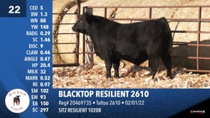 Lot #22 - BLACKTOP RESILIENT 2610
