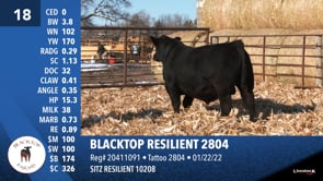 Lot #18 - BLACKTOP RESILIENT 2804