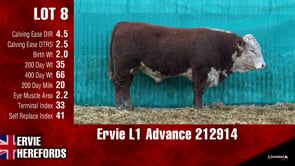Lot #8 - Ervie L1 Advance 212914