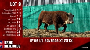 Lot #9 - Ervie L1 Advance 212913