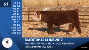 Lot #61 - BLACKTOP 4013 IMF 2812
