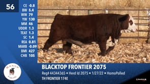 Lot #56 - BLACKTOP FRONTIER 2075