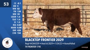 Lot #53 - BLACKTOP FRONTIER 2029