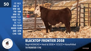Lot #50 - BLACKTOP FRONTIER 2058