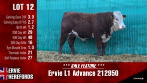 Lot #12 - Ervie L1 Advance 212950
