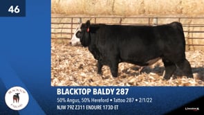 Lot #46 - BLACKTOP BALDY 287