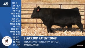Lot #45 - BLACKTOP PATENT 2049