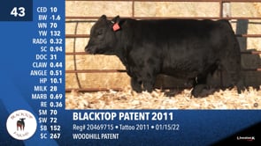 Lot #43 - BLACKTOP PATENT 2011