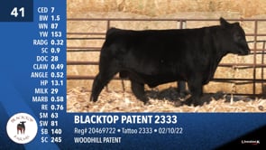 Lot #41 - BLACKTOP PATENT 2333