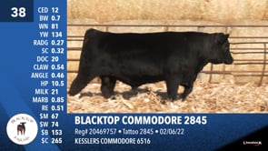 Lot #38 - BLACKTOP COMMODORE 2845
