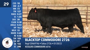 Lot #29 - BLACKTOP COMMODORE 2726