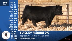 Lot #27 - BLACKTOP RESILIENT 297