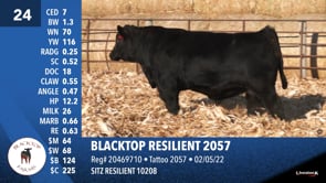 Lot #24 - BLACKTOP RESILIENT 2057