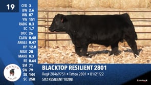 Lot #19 - BLACKTOP RESILIENT 2801