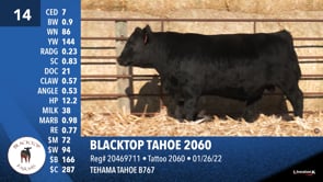 Lot #14 - BLACKTOP TAHOE 2060