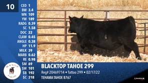 Lot #10 - BLACKTOP TAHOE 299