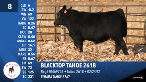 Lot #8 - BLACKTOP TAHOE 2618