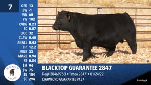 Lot #7 - BLACKTOP GUARANTEE 2847
