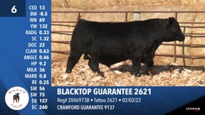 Lot #6 - BLACKTOP GUARANTEE 2621